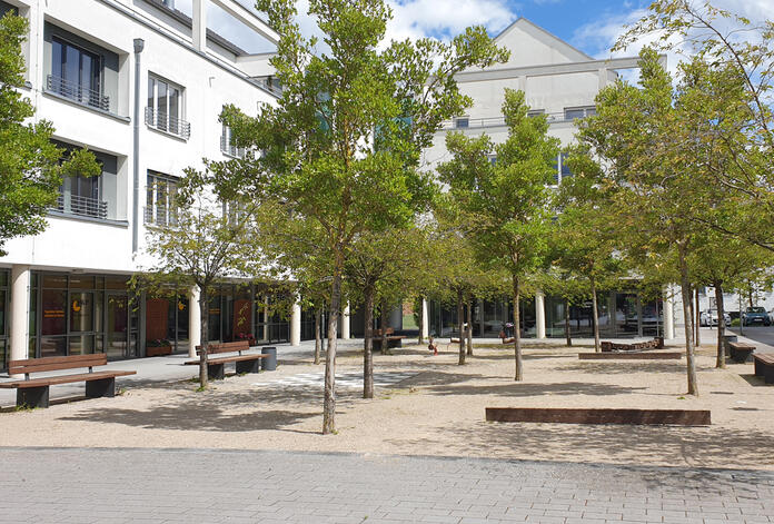 KÜN_3.jpg